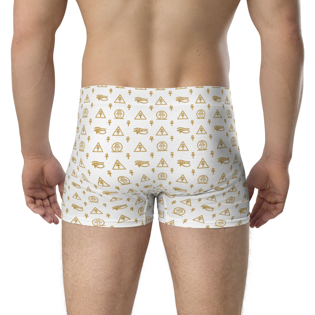 Ankh Awakening Men's Boxer Briefs AMBB-09