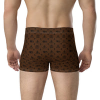 Ankh Awakening Men's Boxer Briefs AMBB-019