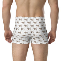 Ankh Awakening Men's Boxer Briefs AMBB-035