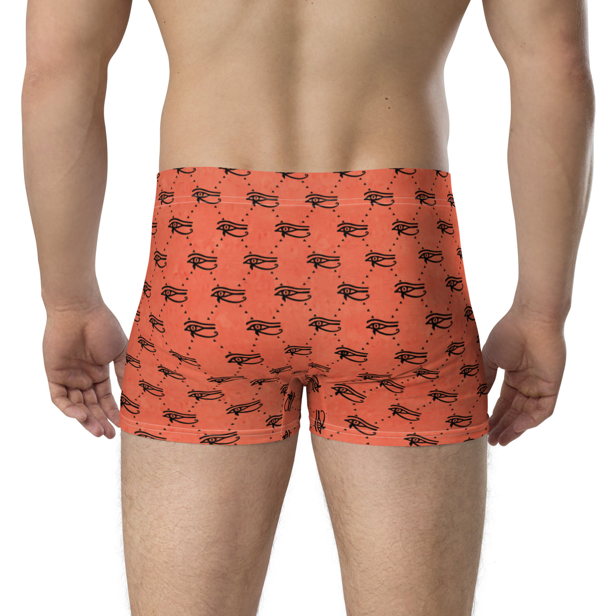 Ankh Awakening Men's Boxer Briefs AMBB-042