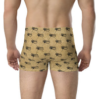 Ankh Awakening Men's Boxer Briefs AMBB-044