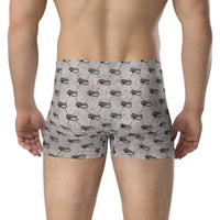 Ankh Awakening Men's Boxer Briefs AMBB-045