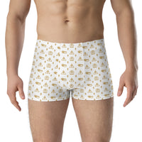 Ankh Awakening Men's Boxer Briefs AMBB-09