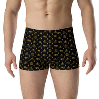 Ankh Awakening Men's Boxer Briefs AMBB-011