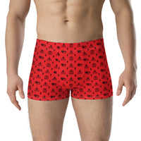 Ankh Awakening Men's Boxer Briefs AMBB-016