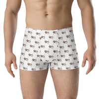 Ankh Awakening Men's Boxer Briefs AMBB-035