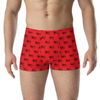 Ankh Awakening Men's Boxer Briefs AMBB-037