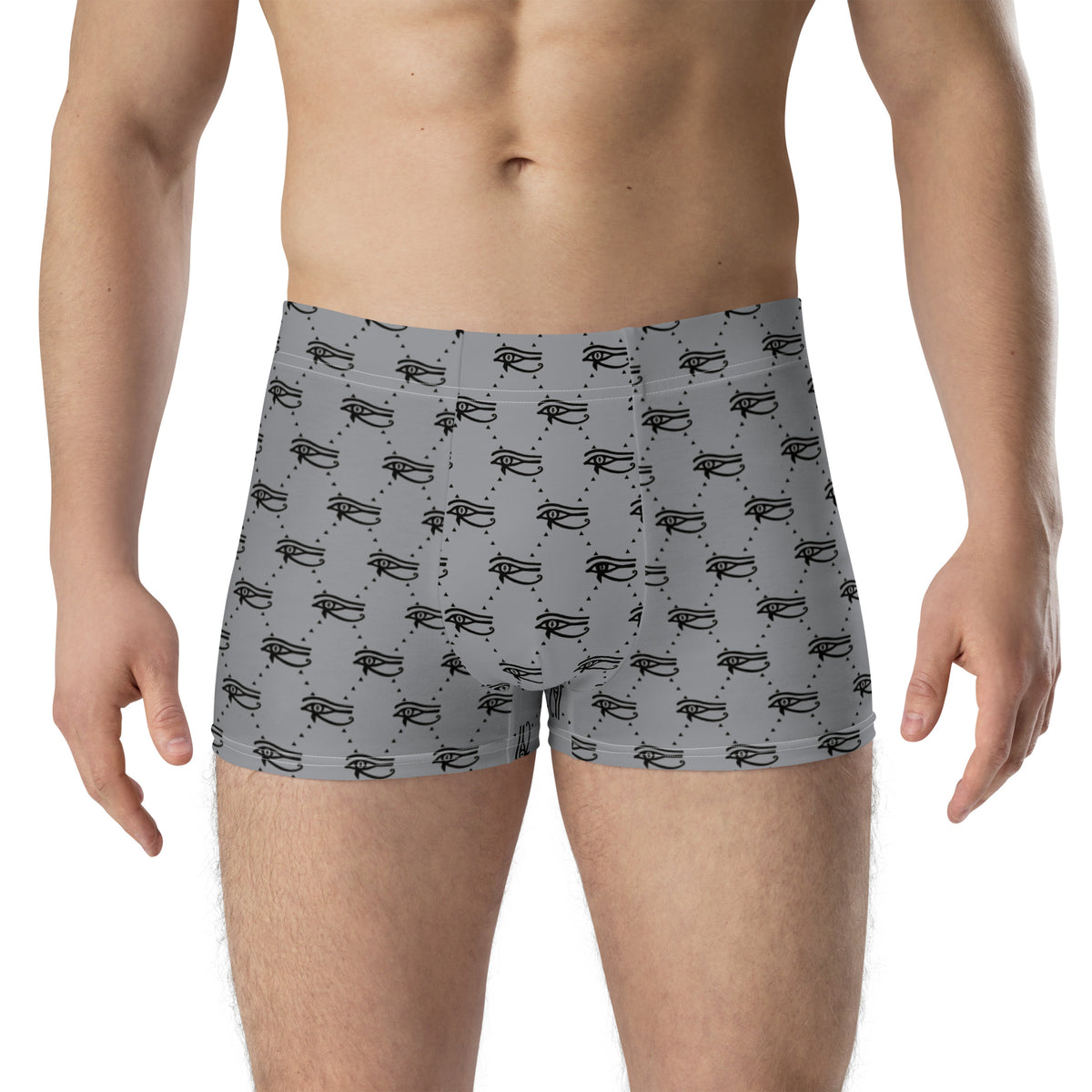 Ankh Awakening Men's Boxer Briefs AMBB-039