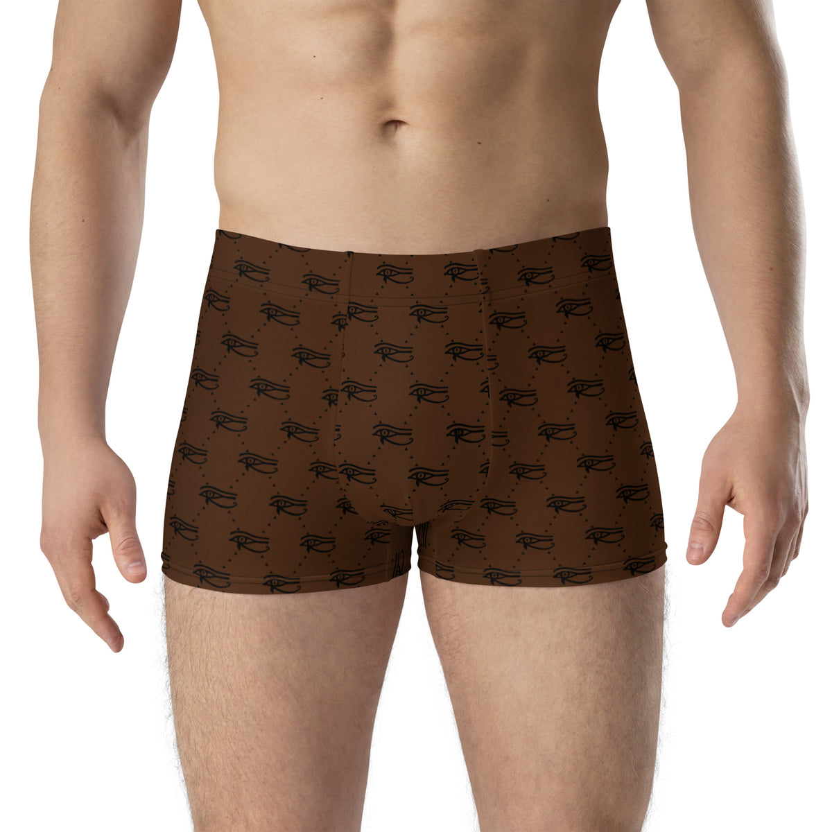 Ankh Awakening Men's Boxer Briefs AMBB-040