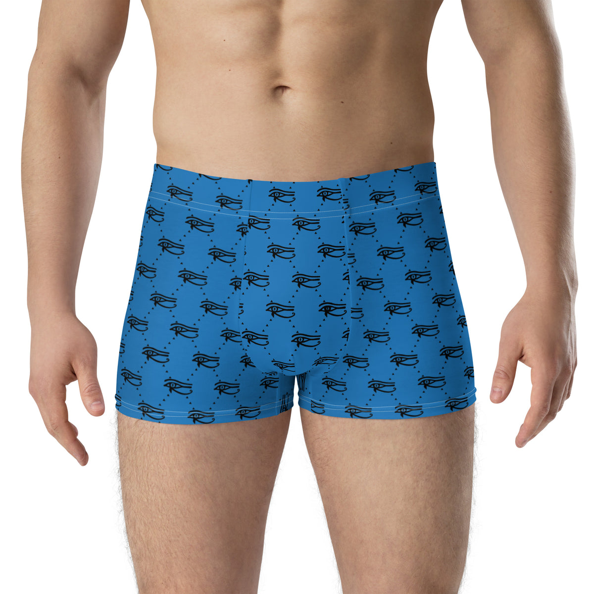 Ankh Awakening Men's Boxer Briefs AMBB-041