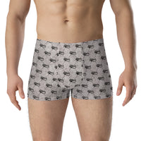 Ankh Awakening Men's Boxer Briefs AMBB-045