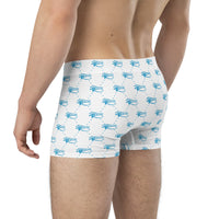 Ankh Awakening Men's Boxer Briefs AMBB-031