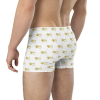 Ankh Awakening Men's Boxer Briefs AMBB-032