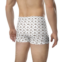 Ankh Awakening Men's Boxer Briefs AMBB-012