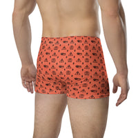 Ankh Awakening Men's Boxer Briefs AMBB-014