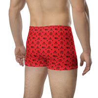 Ankh Awakening Men's Boxer Briefs AMBB-016