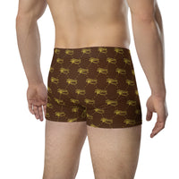 Ankh Awakening Men's Boxer Briefs AMBB-033