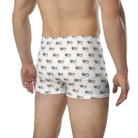 Ankh Awakening Men's Boxer Briefs AMBB-035