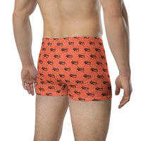 Ankh Awakening Men's Boxer Briefs AMBB-042