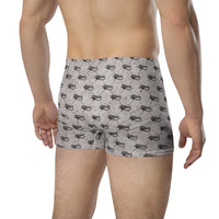 Ankh Awakening Men's Boxer Briefs AMBB-045