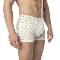 Ankh Awakening Men's Boxer Briefs AMBB-09