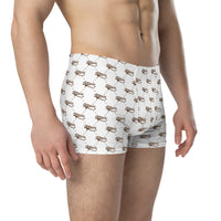 Ankh Awakening Men's Boxer Briefs AMBB-035