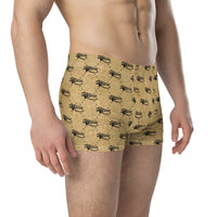 Ankh Awakening Men's Boxer Briefs AMBB-044