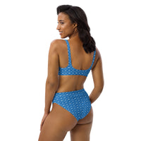 Ankh Awakening Recycled High-Waisted Bikini ARH-027