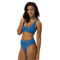 Ankh Awakening Recycled High-Waisted Bikini ARH-014