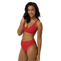 Ankh Awakening Recycled High-Waisted Bikini ARH-019