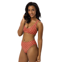 Ankh Awakening Recycled High-Waisted Bikini ARH-040