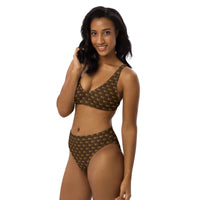 Ankh Awakening Recycled High-Waisted Bikini ARH-048