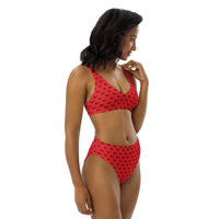 Ankh Awakening Recycled High-Waisted Bikini ARH-019