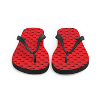 Ankh Awakening Men's Flip-Flops AAMF-035