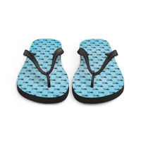 Ankh Awakening Men's Flip-Flops AAMF-038