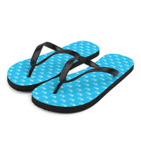 Ankh Awakening Men's Flip-Flops AAMF-022