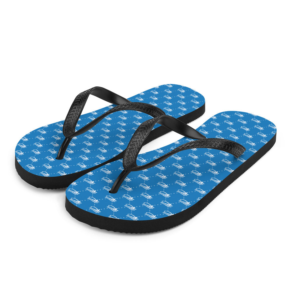 Ankh Awakening Men's Flip-Flops AAMF-025