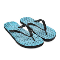 Ankh Awakening Men's Flip-Flops AAMF-018