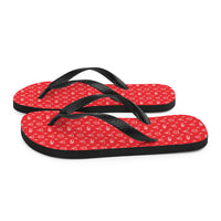 Ankh Awakening Men's Flip-Flops AAMF-01