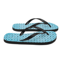 Ankh Awakening Men's Flip-Flops AAMF-018