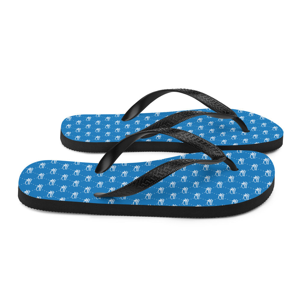 Ankh Awakening Men's Flip-Flops AAMF-025