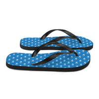 Ankh Awakening Men's Flip-Flops AAMF-025