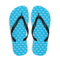 Ankh Awakening Men's Flip-Flops AAMF-022