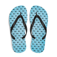 Ankh Awakening Men's Flip-Flops AAMF-038