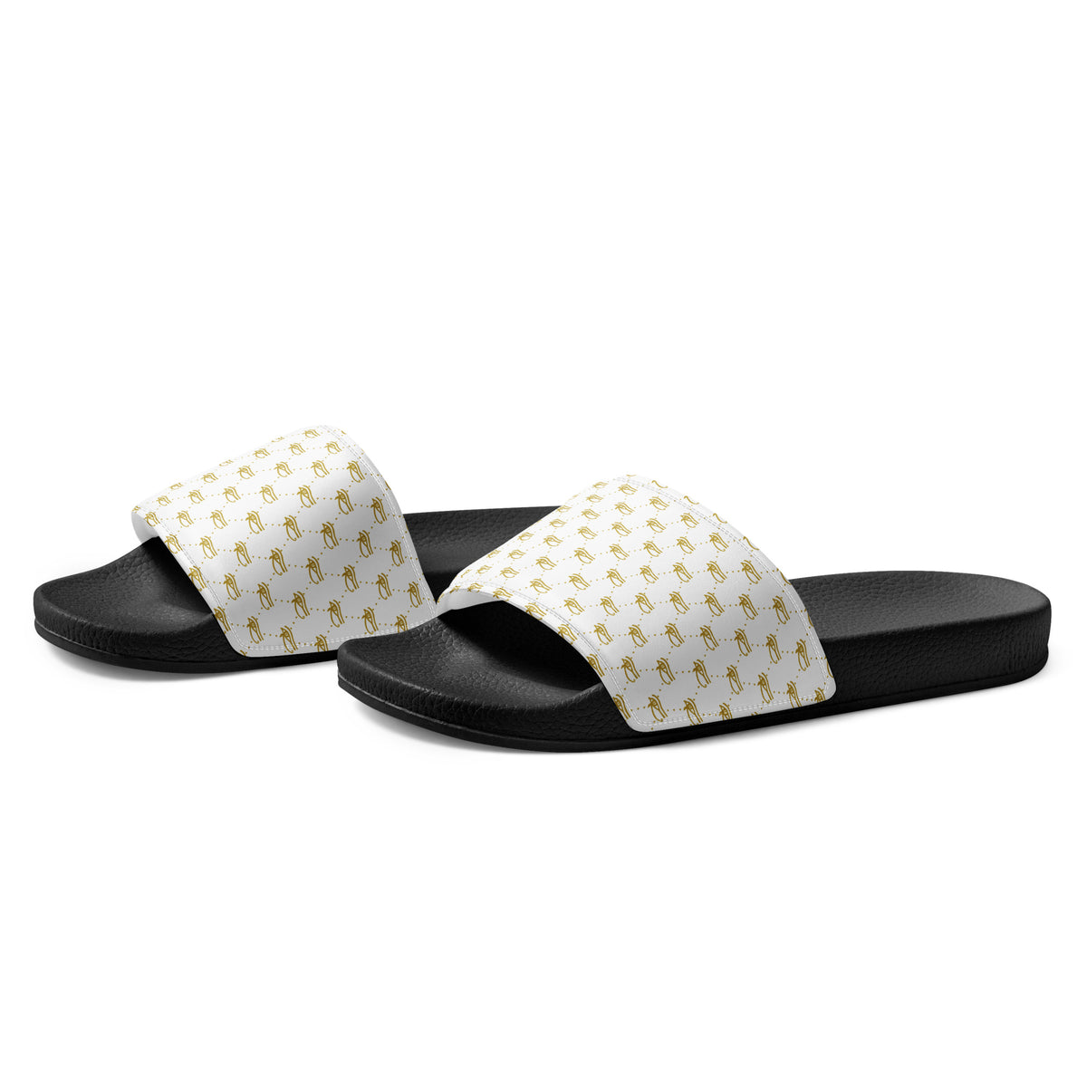 Ankh Awakening Women’s Slides - AWS-029