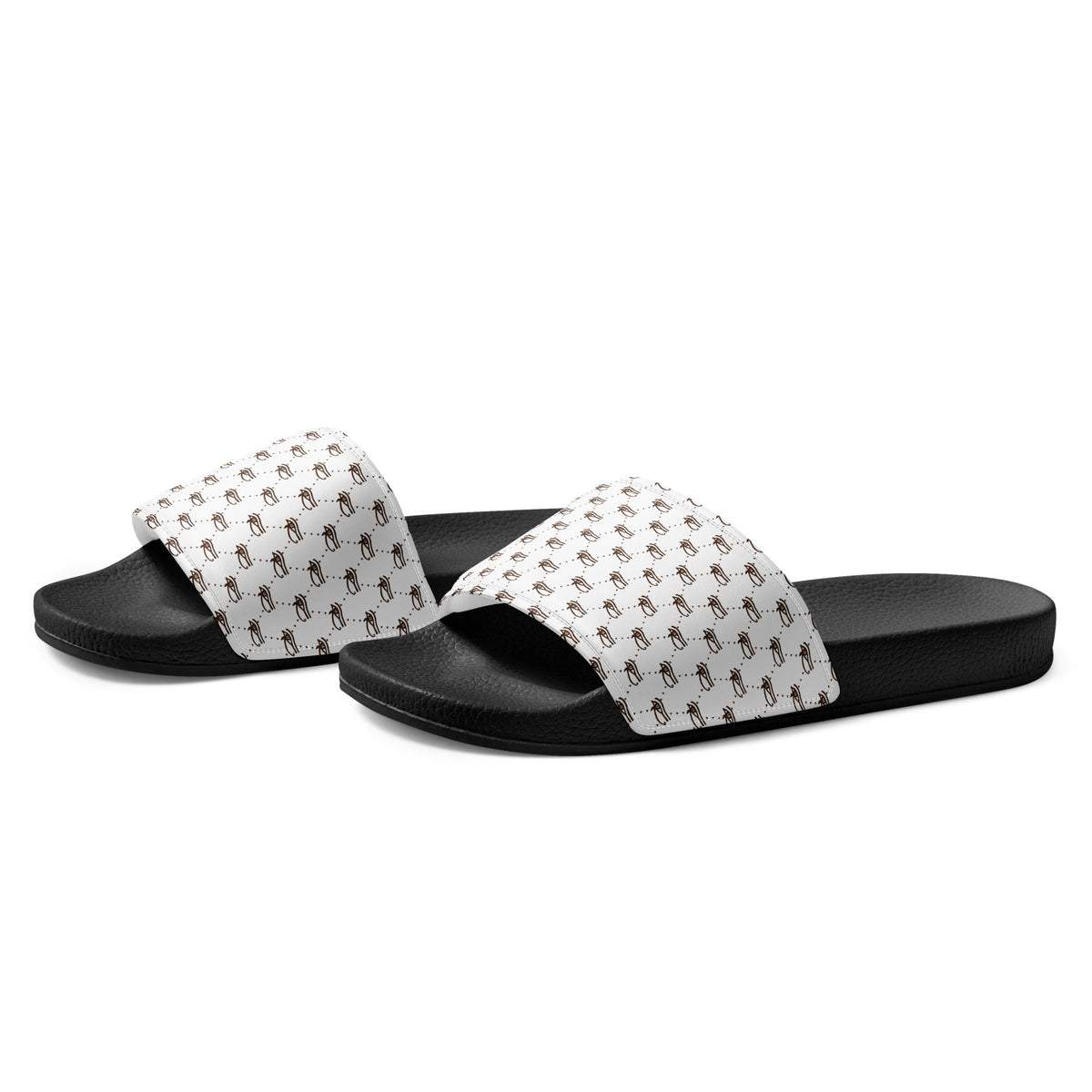 Ankh Awakening Women’s Slides - AWS-032